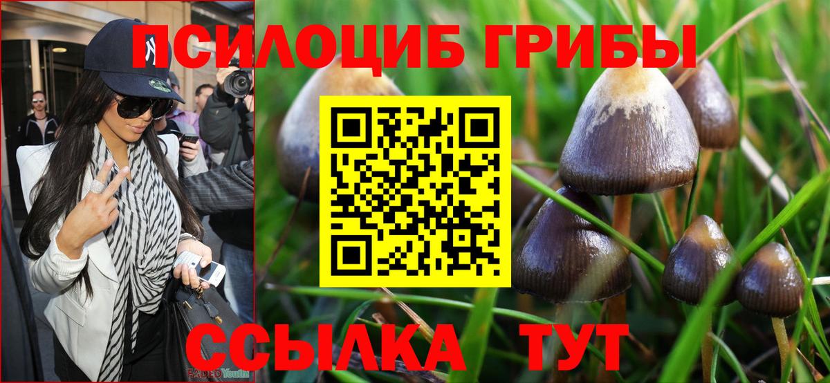 Галлюциногенные грибы ЛСД Тавда